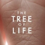 Guilherme de Carvalho / Como assistir “A Árvore da Vida” de Terrence Malick